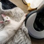 Een robotstofzuiger die haren en vuil van huisdieren efficiënt opzuigt in een woonkamer.